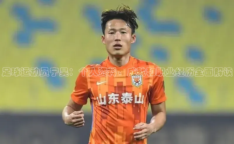 沐鸣娱乐2登录百度人工翻译