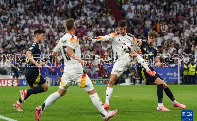 沐鸣娱乐2手机版